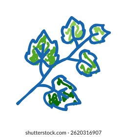 Vector de boceto de icono de doodle de uva de hoja. Muestra de uva de hoja. ilustración de símbolo aislado
