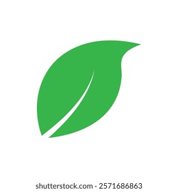 Leaf graphic design logo template