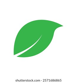 Leaf graphic design logo template