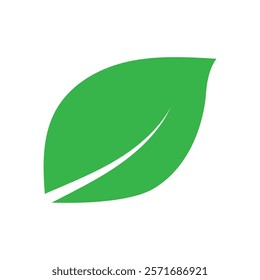Leaf graphic design logo template