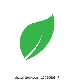 Leaf graphic design logo template