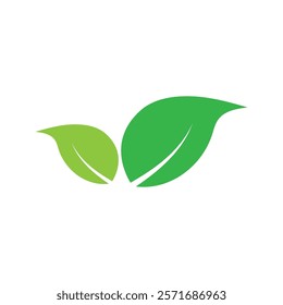 Leaf graphic design logo template