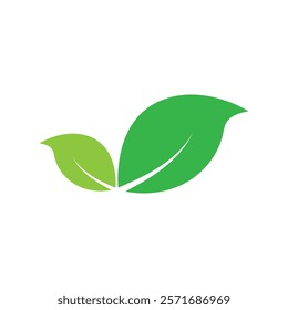 Leaf graphic design logo template