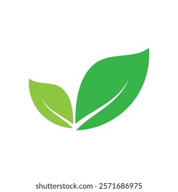 Leaf graphic design logo template
