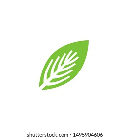 Leaf graphic design template vector isolated illustration