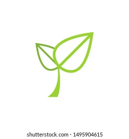 Leaf graphic design template vector isolated illustration