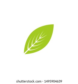 Leaf graphic design template vector isolated illustration