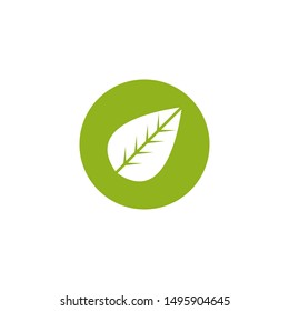 Leaf graphic design template vector isolated illustration