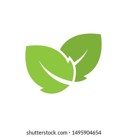 Leaf graphic design template vector isolated illustration