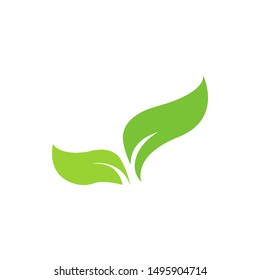 Leaf graphic design template vector isolated illustration
