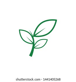 Leaf graphic icon design template vector illustration