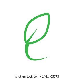 Leaf graphic icon design template vector illustration