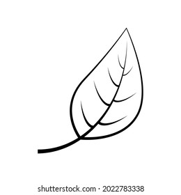 Leaf graphic icon. Vector illustration of a leaf, black lines on a white background. Drawing of a leaf symbol with a tree