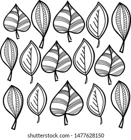 leaf graphics vector line stroke coloring sketch doodle