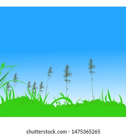 leaf and grass, blue sky, wind, savana, meadow, freshness, and nature