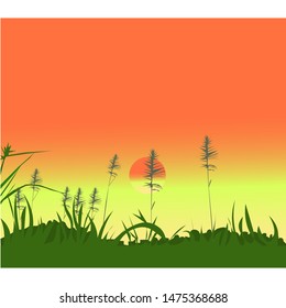 leaf and grass, sunset, wind, savana, meadow, freshness, and nature