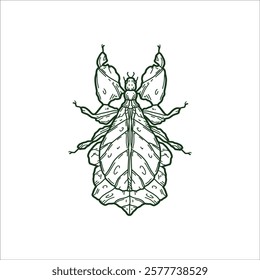 Leaf grasshopper hand drawn illustration artwork