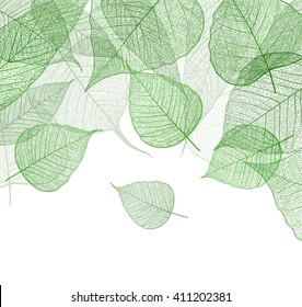 Leaf green background. Vector.