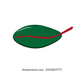 the leaf is green and beautiful with a red center twig on a white background