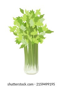 Leaf green celery, flat style vector illustration on white background