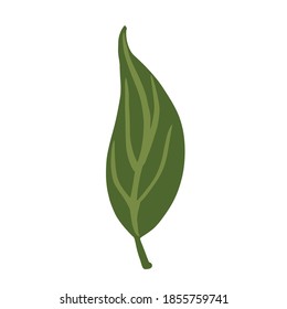 Leaf green color isolated on white background. Scandinavian botanical sketch hand drawn in style doodle vector illustration