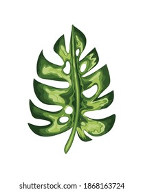 leaf of green color with stem in a white background vector illustration design