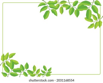 Leaf-grüner Rahmen auf Illustrationsgrafik, Vektorgrafik