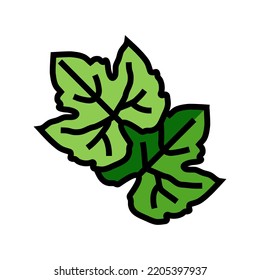 leaf green grape color icon vector. leaf green grape sign. isolated symbol illustration