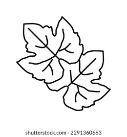 leaf green grape line icon vector. leaf green grape sign. isolated contour symbol black illustration