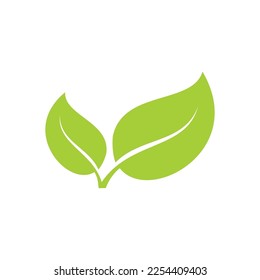 símbolo del logotipo del icono verde de la hoja