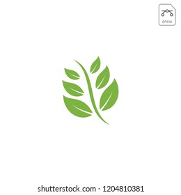 leaf green icon or logo template vector illustration and inspiration