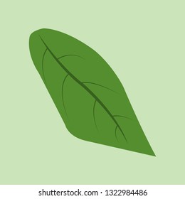 Leaf. Green leaf. Icon leaf. Vector illustration. EPS 10.