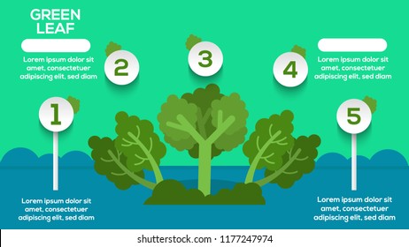 Leaf green Infographic with steps, options, stats