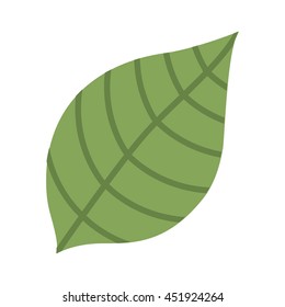 leaf green isolated icon design, vector illustration  graphic 