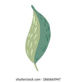 Verde hoja aislado en fondo blanco. botánico escandinavo en la ilustración del doodle vectorial.