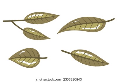 Leaf green leaves eco tree plant isolated set. Vector flat graphic design illustration