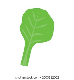 A leaf of green lettuce with streaks.