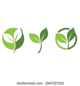  leaf green logo ecology nature element vector