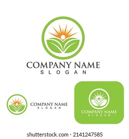 Leaaf-grünes Logo, Naturvektor