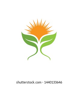 Leaf green Logo and symbol vector Template 