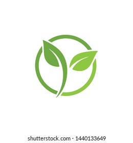 Leaf green Logo and symbol vector Template 
