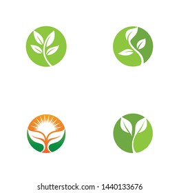 Leaf green Logo and symbol vector Template 