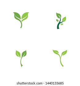 Leaf green Logo and symbol vector Template 