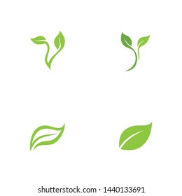 Leaf green Logo and symbol vector Template 