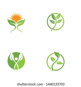 Leaf green Logo and symbol vector Template 