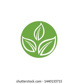 Leaf green Logo and symbol vector Template 