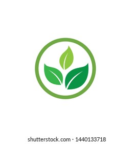 Leaf green Logo and symbol vector Template 
