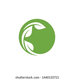 Leaf green Logo and symbol vector Template 