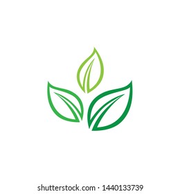 Leaf green Logo and symbol vector Template 