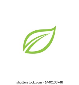 Leaf green Logo and symbol vector Template 